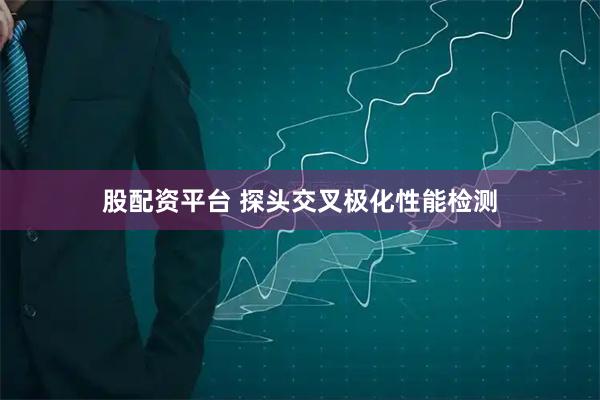 股配资平台 探头交叉极化性能检测