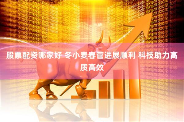 股票配资哪家好 冬小麦春管进展顺利 科技助力高质高效